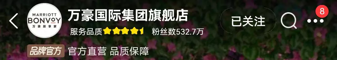 萬豪飛豬旗艦店