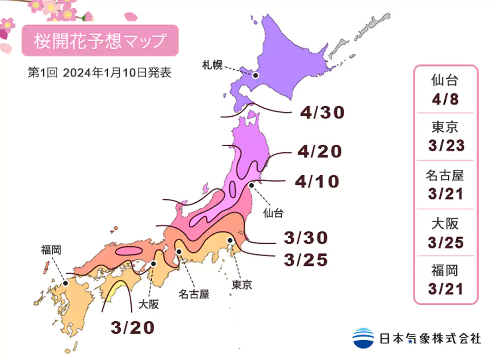 日本2024年櫻花花期預測公布