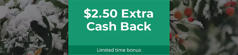 Topcashback 限时购物奖励，购物满15美元返现2.5美元