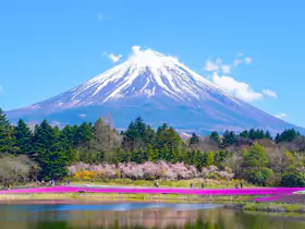 日本旅游攻略，日本自由行