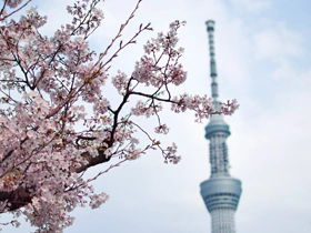 東京晴空塔 Sky Tree 東京晴空塔 Sky Tree