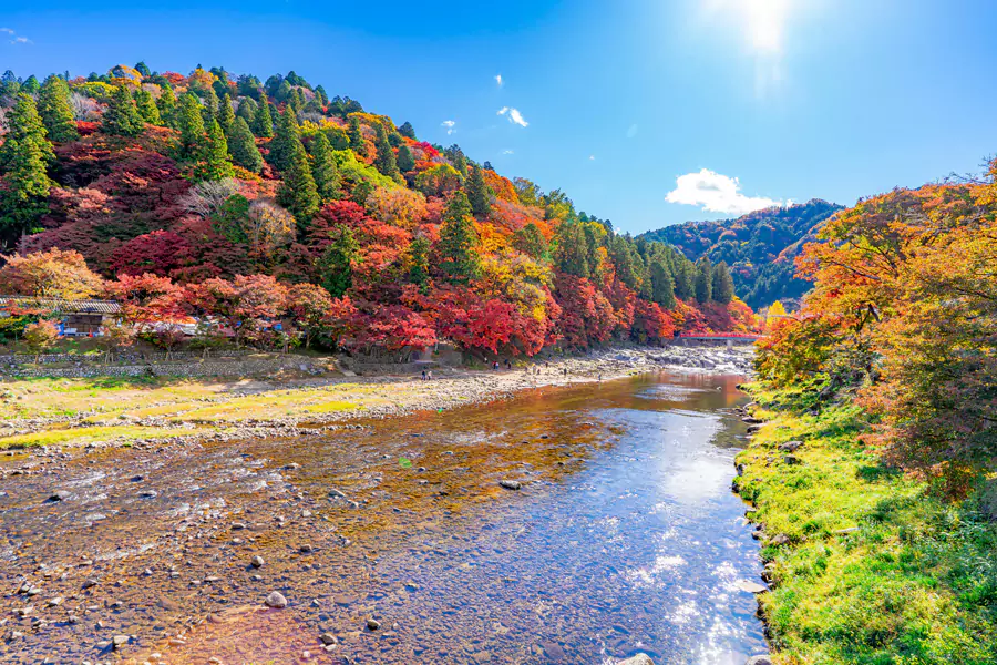 愛知縣香嵐溪
