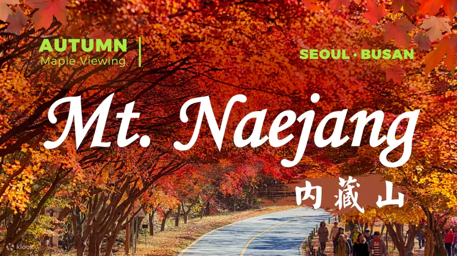 內藏山國立公園 內藏山國立公園