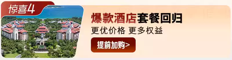 2024年雙11，雅高飛豬旗艦店，爆款酒店套餐