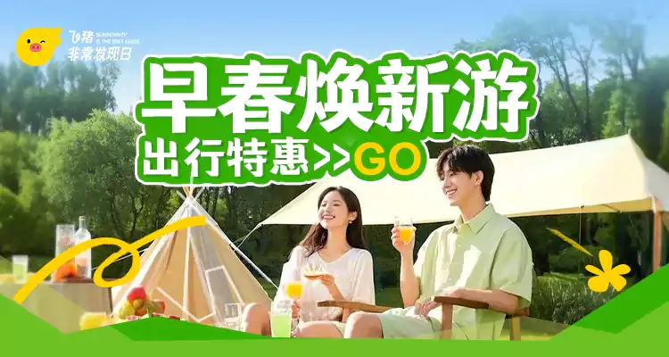 飛豬春季促銷2025