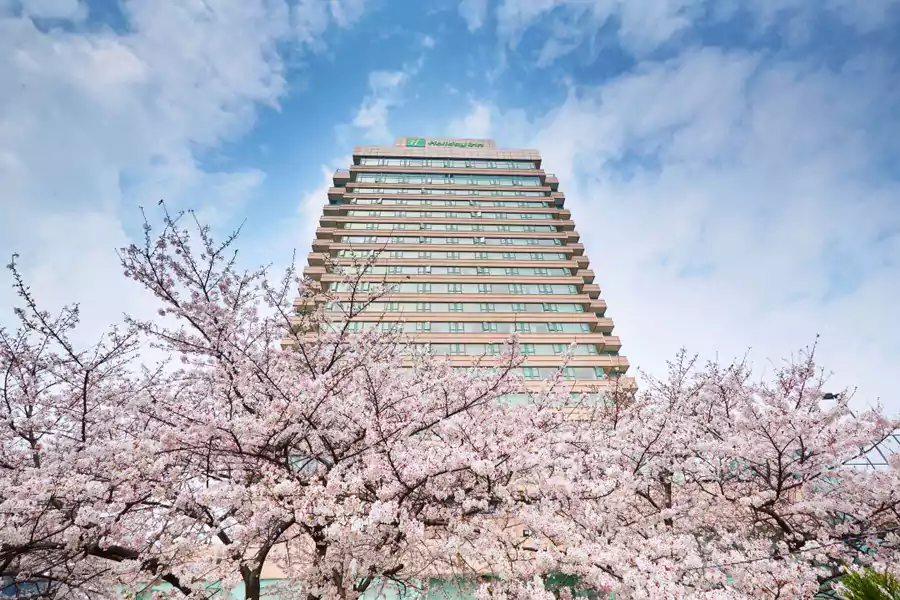 洲際 Ihg 酒店武漢晴川假日酒店