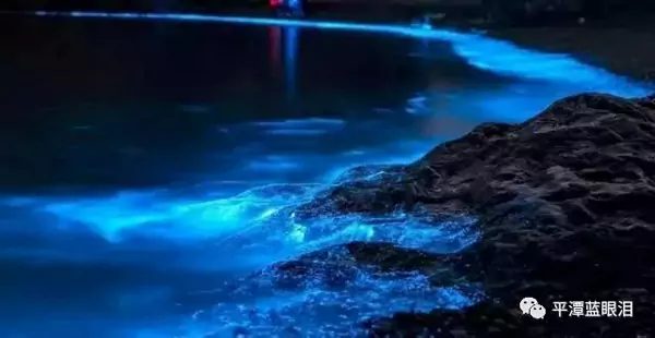 坛南湾