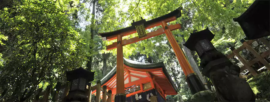 京都伏见稻荷大社