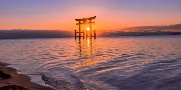 滋贺白须神社 —— 湖中鸟居