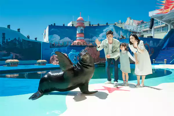 海平线剧场：海天之间的视听盛宴2