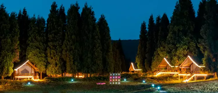 仙女山露營基地是親子遊與團建的絕佳選擇 仙女山露營基地是親子遊與團建的絕佳選擇