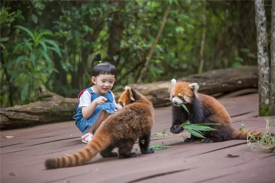 莊園最動人的莫過於和動物的親密接觸 莊園最動人的莫過於和動物的親密接觸