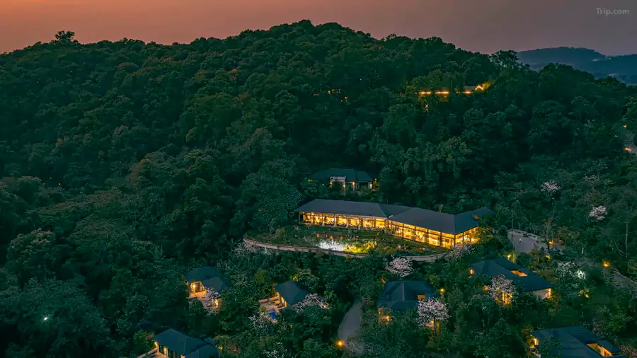 雲南普洱小熊貓莊園