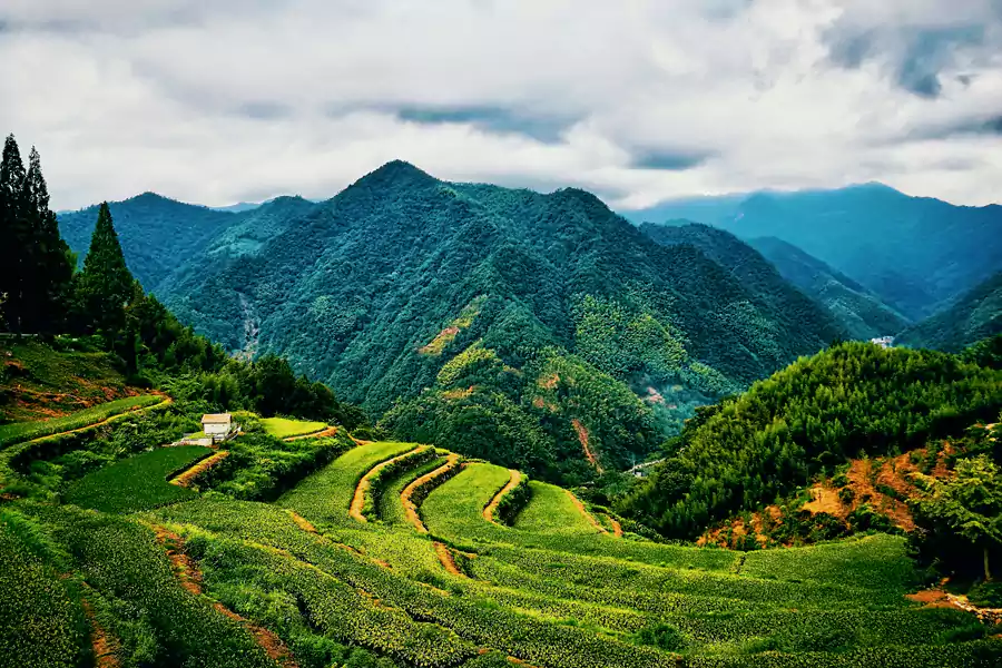 Tian Mu Mountain Scenic