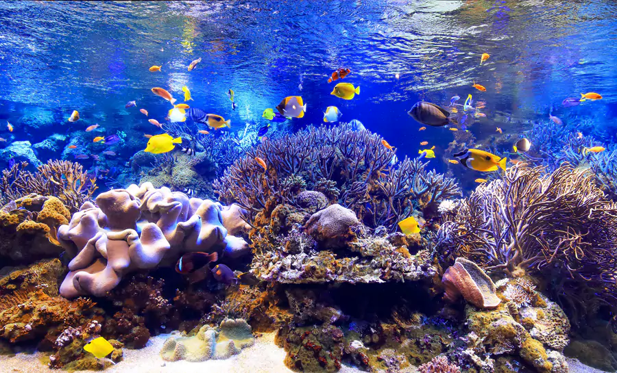 鳥羽水族館2