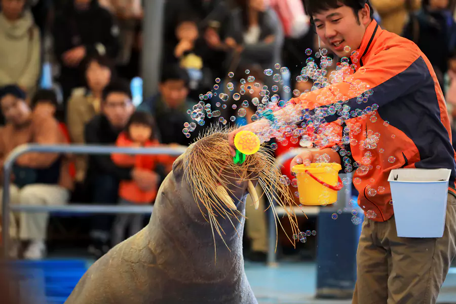 鳥羽水族館1