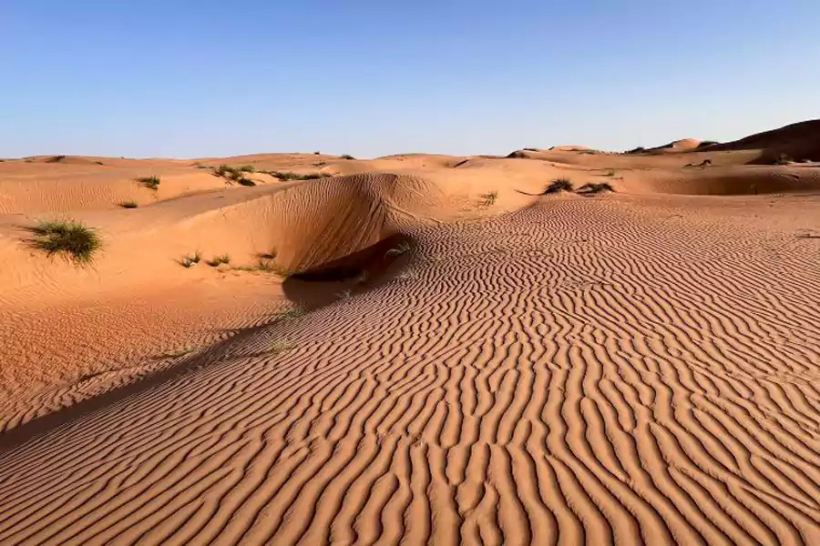 Wahiba Sands