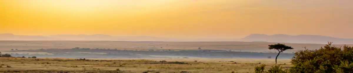 非洲旅行