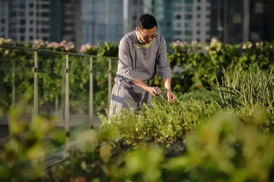 5 层露台的有机花园，是它最特别的标签之一