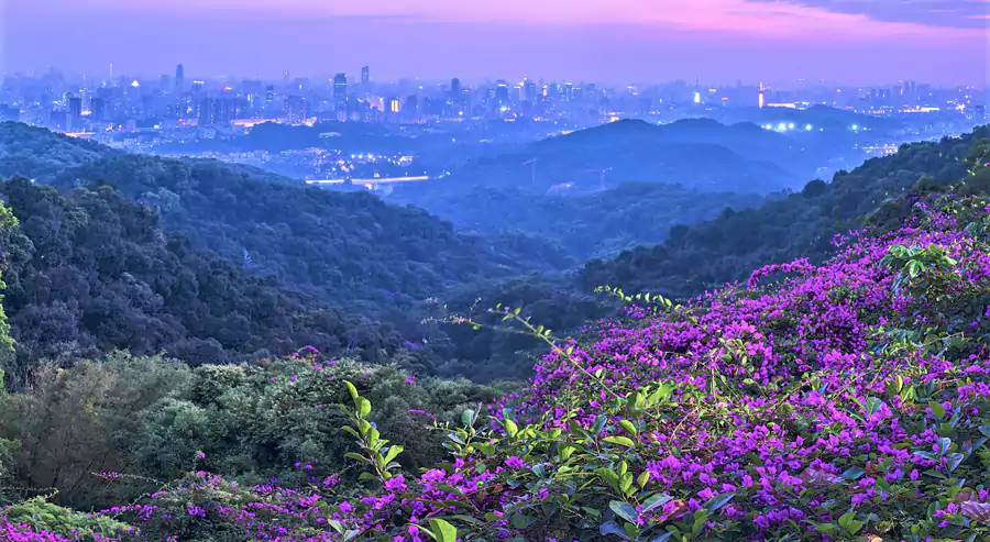 白云山 白云山