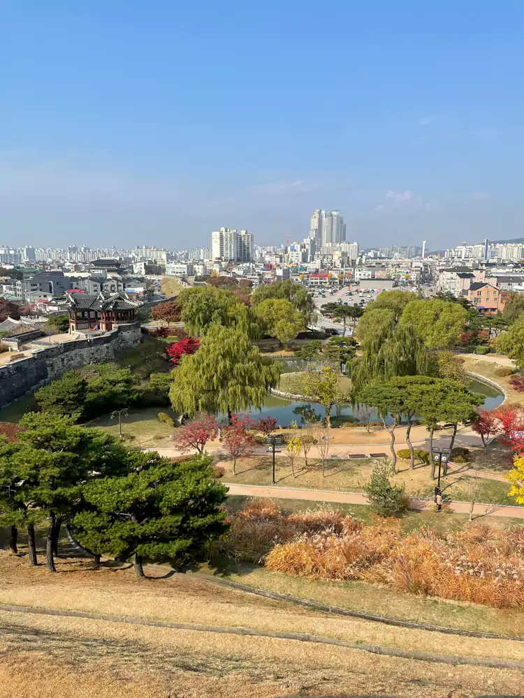 访花随柳亭