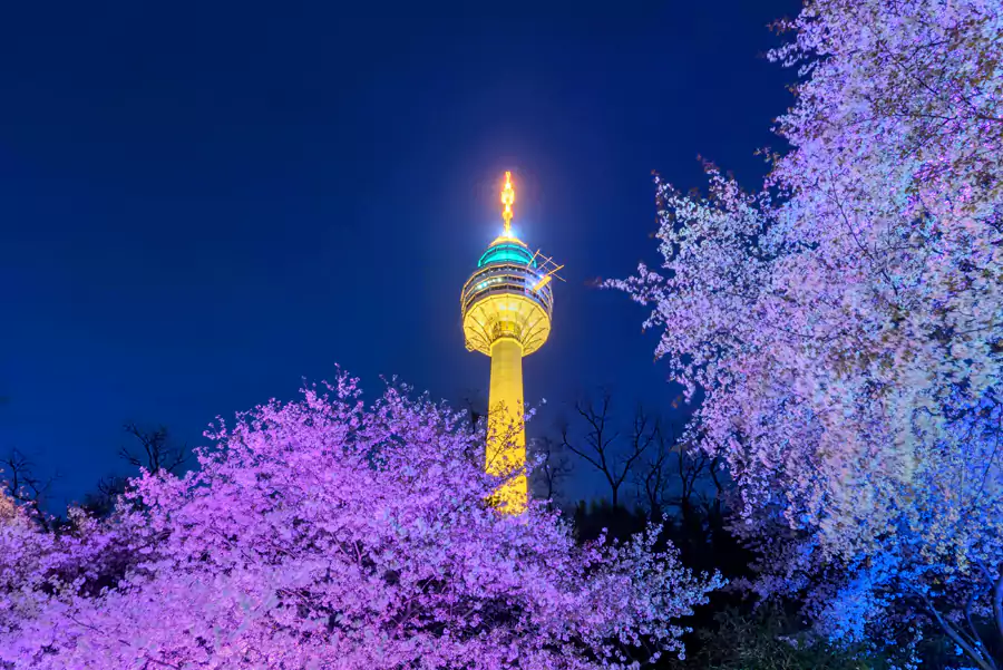 大邱