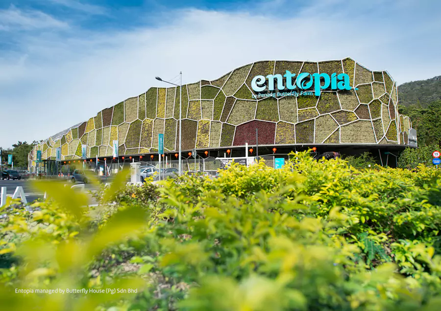 Entopia 虫鸣大地蝴蝶公园 Entopia 虫鸣大地蝴蝶公园