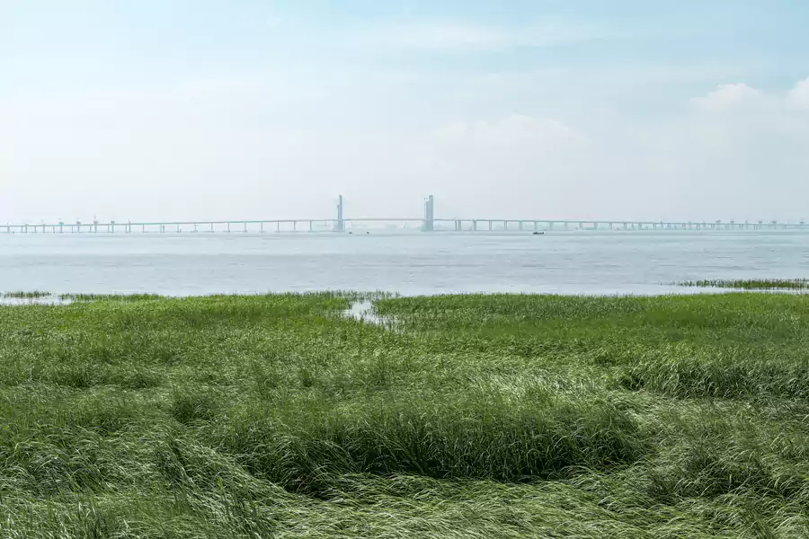 丰海路 丰海路