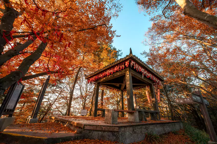光雾山（桃园）景区