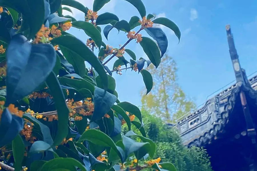 桂林公园