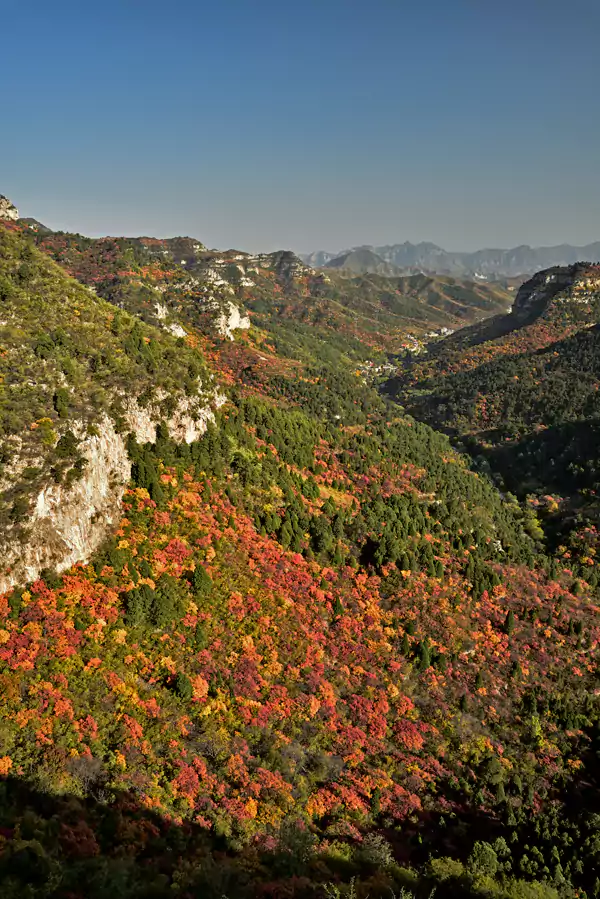 锦山