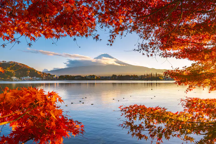 富士山紅葉季-河口湖 富士山紅葉季-河口湖