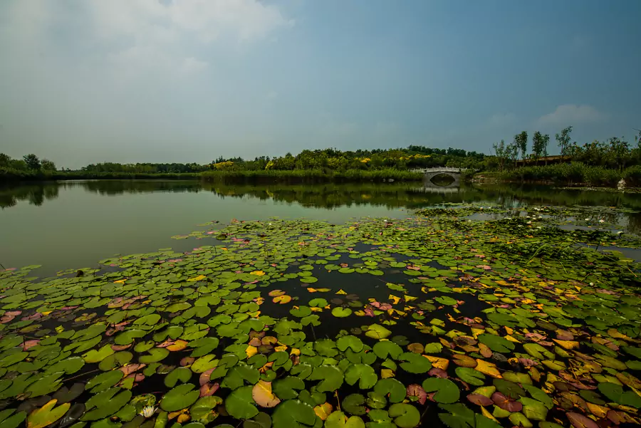 马踏湖 马踏湖