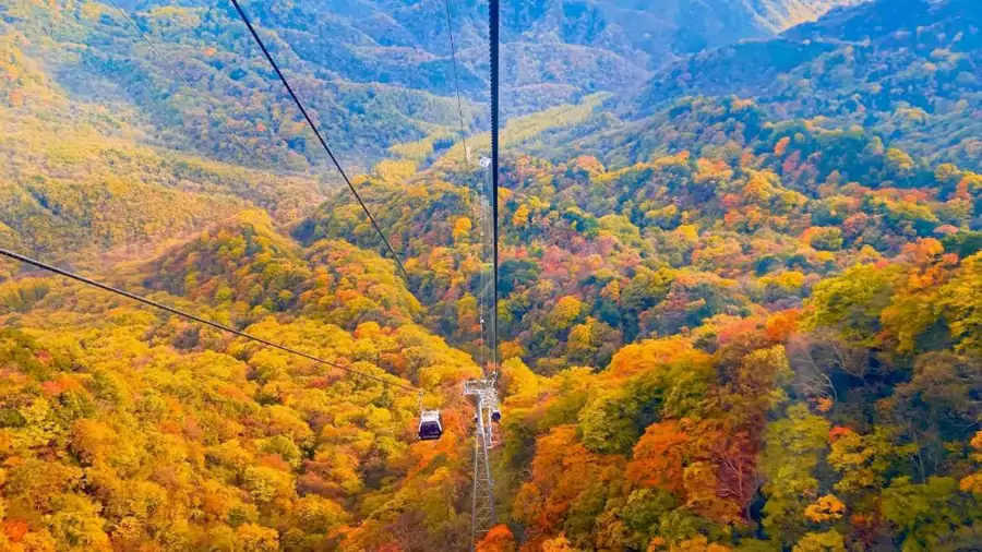 米仓山景区索道