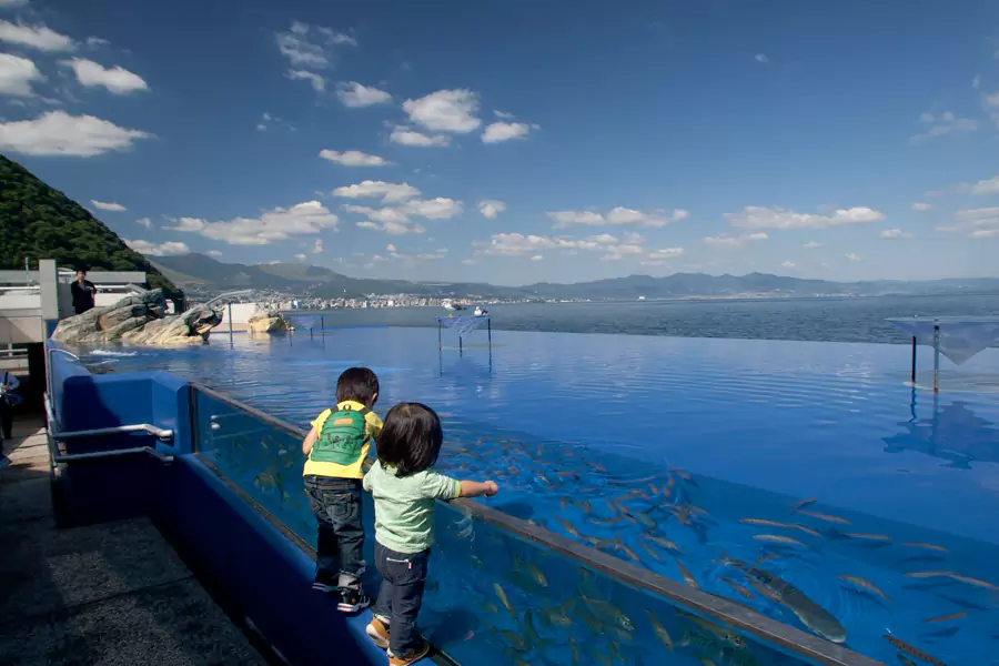 大分海之卵水族館 大分海之卵水族館