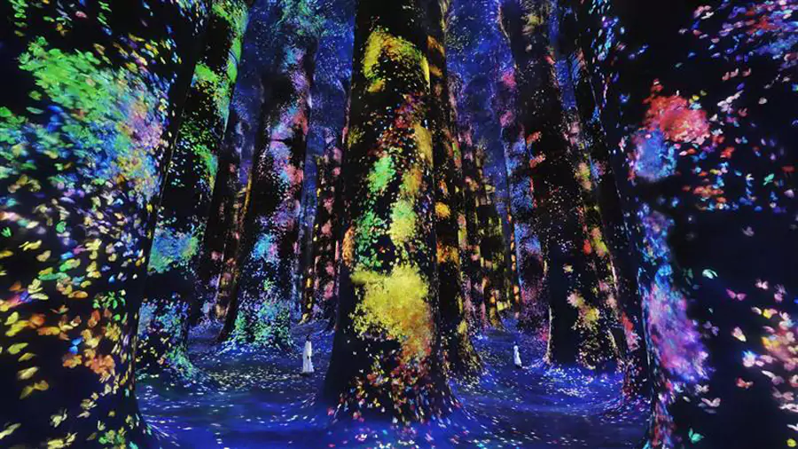Teamlab 现象阿布扎比