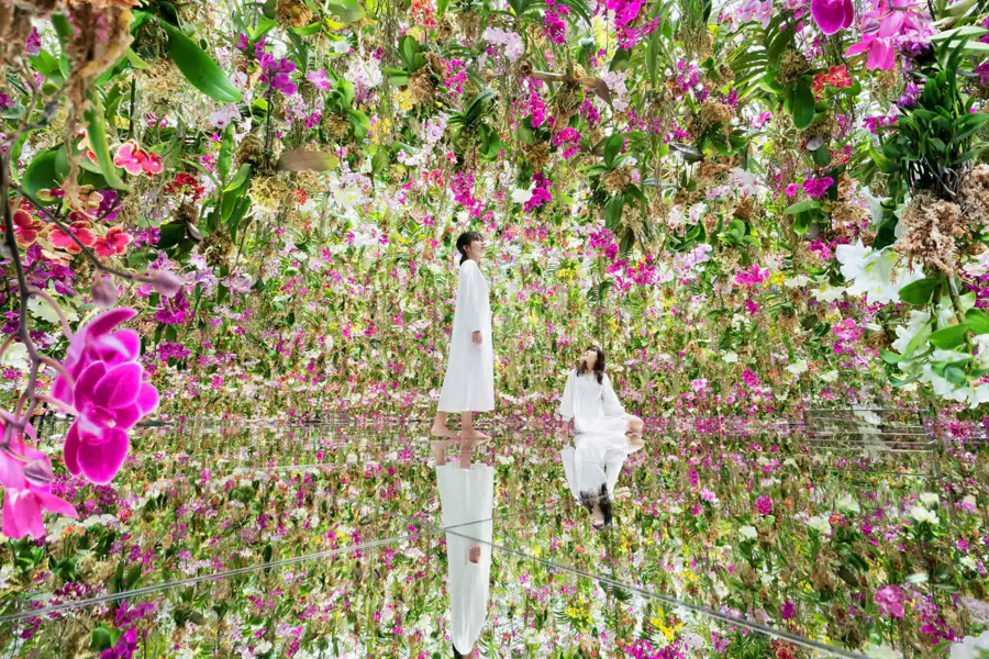 “漂浮的花园”