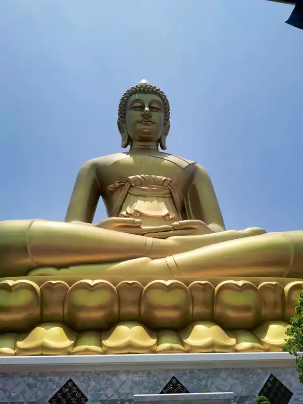寺内仰拍