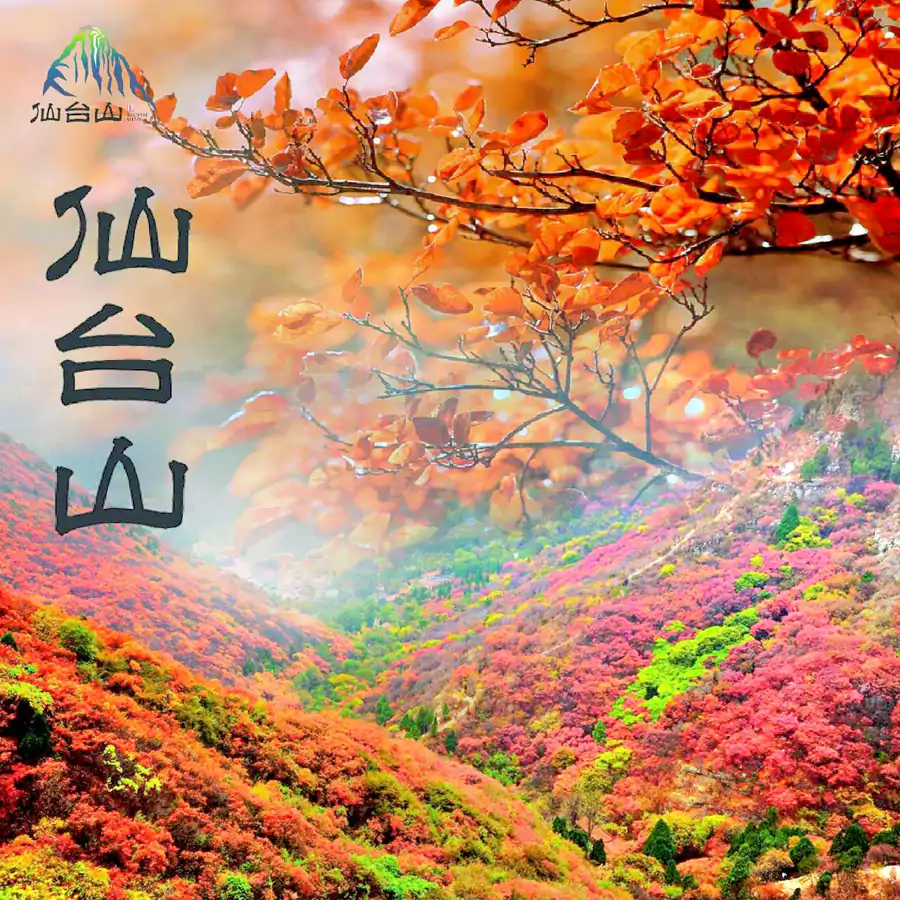 仙台山