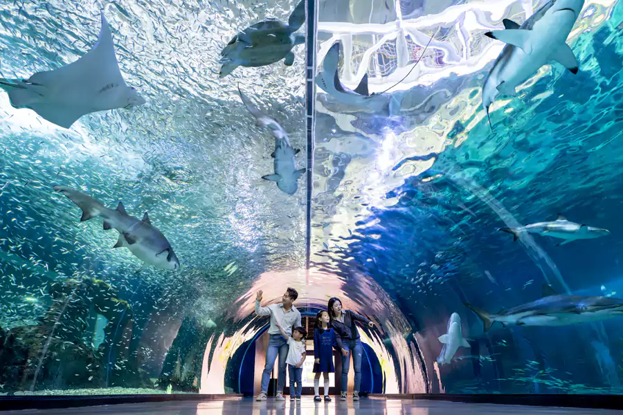 Aqua planet 水族馆 Aqua Planet 水族馆