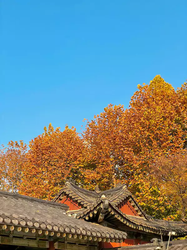 昌庆宫