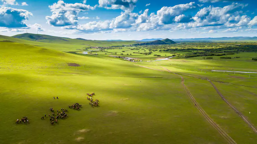 呼伦贝尔 呼伦贝尔