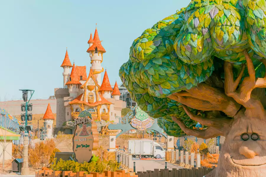 會說話的古樹 會說話的古樹