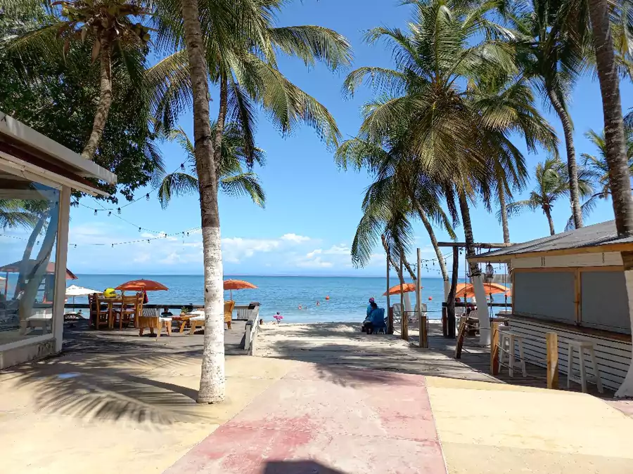 瑪格麗特島 瑪格麗特島