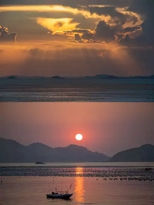 橘子海 橘子海