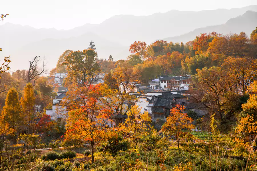 塔川村