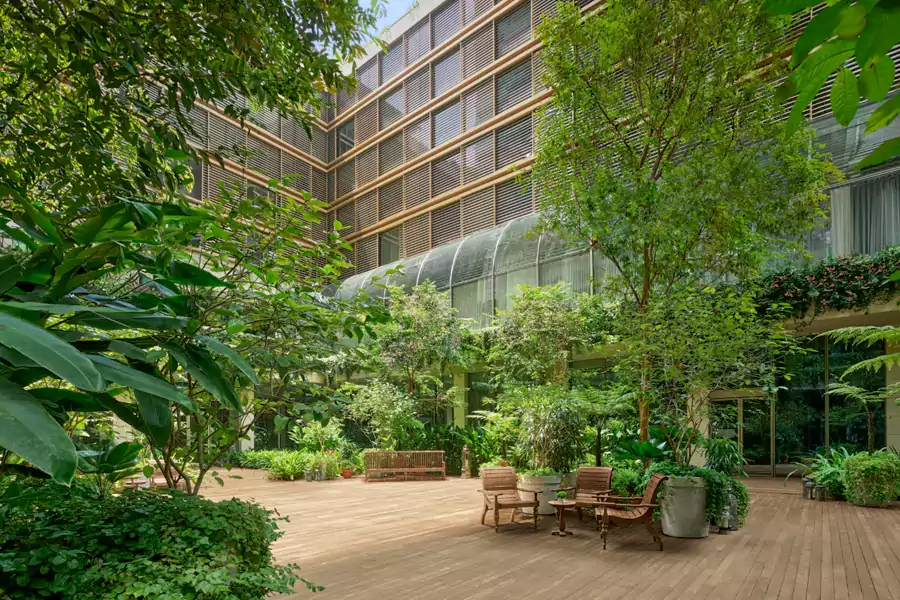 艾迪逊偏偏把热带雨林搬进了市中心 艾迪逊偏偏把热带雨林搬进了市中心