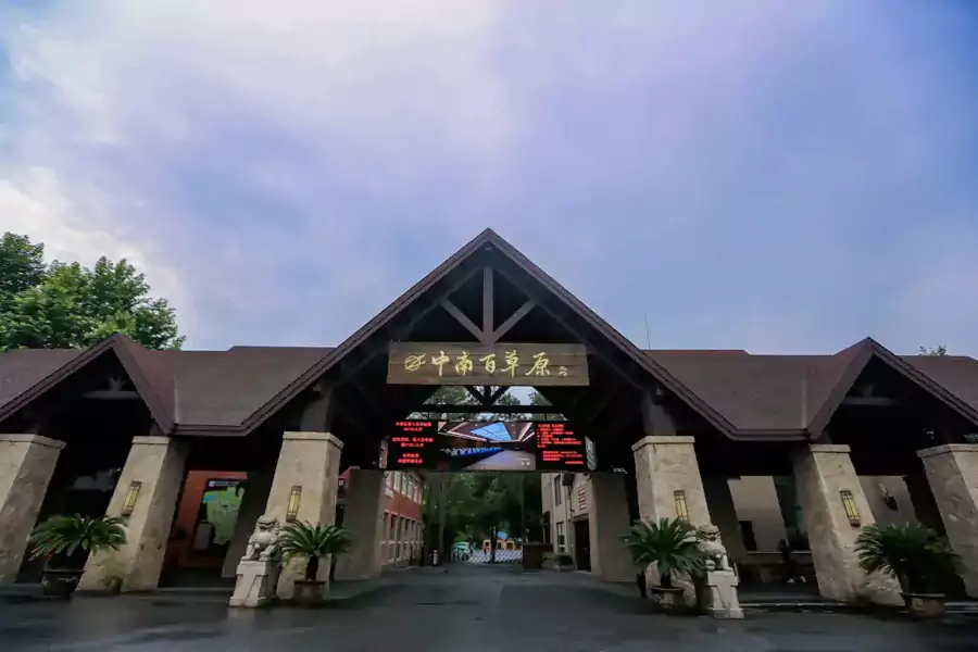 中南百草原
