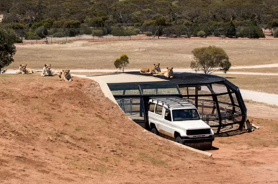 莫纳托动物园 莫纳托动物园