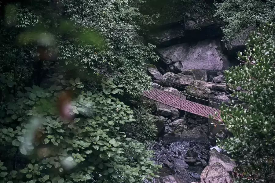 來金佛山樸鄉，住進立鼎世認證的奢華酒店裡